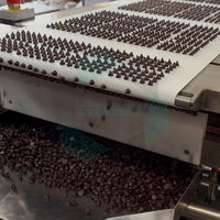 Machine à fabriquer des pépites de chocolat GUSU, ligne de production de pépites de chocolat
