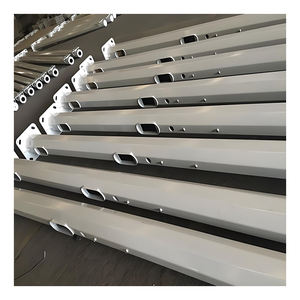 中国メーカー製の伝統的な亜鉛メッキ鋼製装飾用8メートル高分割型街路灯柱 - Product Image 2