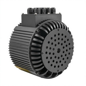 มอเตอร์ไร้แปรงถ่าน BLDC แรงบิดสูง ความเร็วรอบสูง Faradyi Hot Sale 12v 48v 72v 5kw 10kw 15kw 20kw สำหรับรถจักรยานยนต์ 72V10KW ได้รับการรับรองมาตรฐาน CE กำลังสูง - Product Image 4