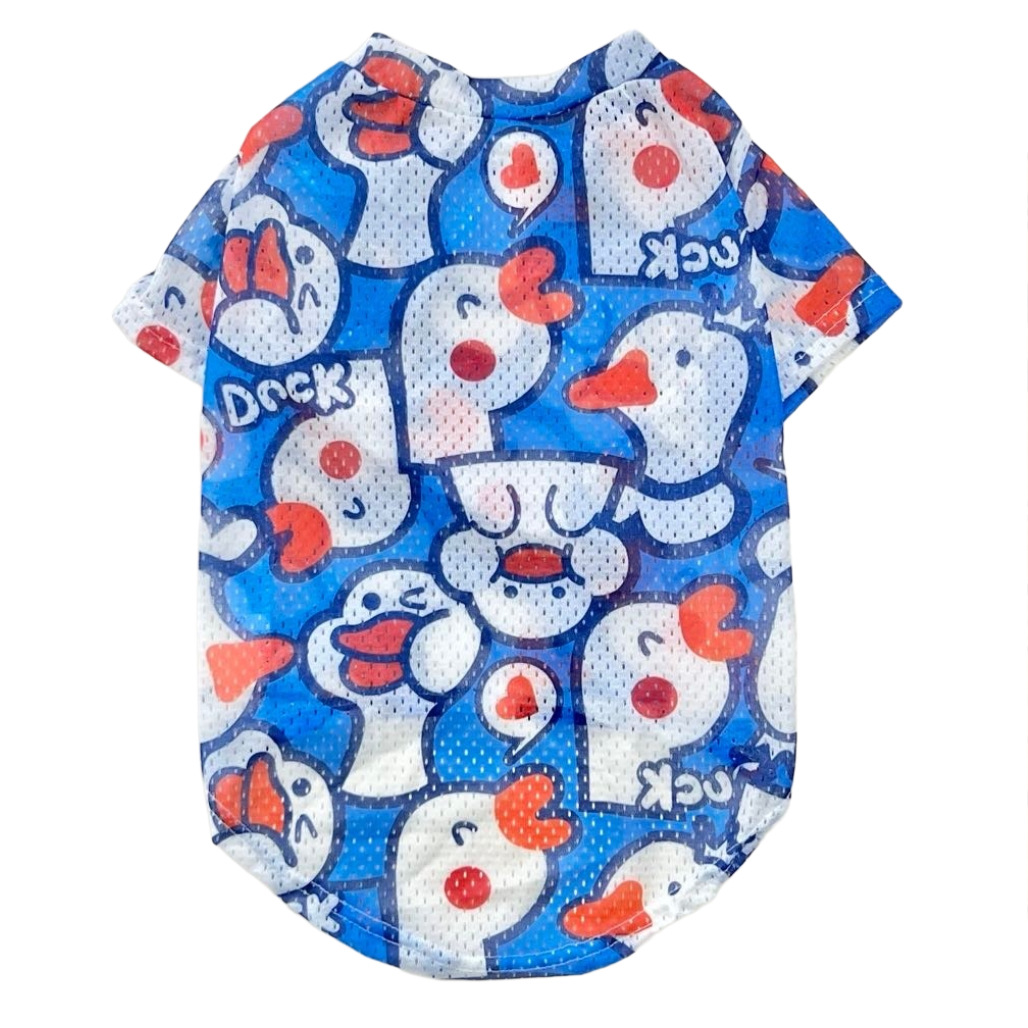pato azul