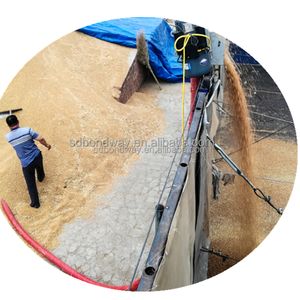 Vis portable pour rouleau/ascenseur, à tube souple, convoyeur/succion pour le grain - Product Image 3