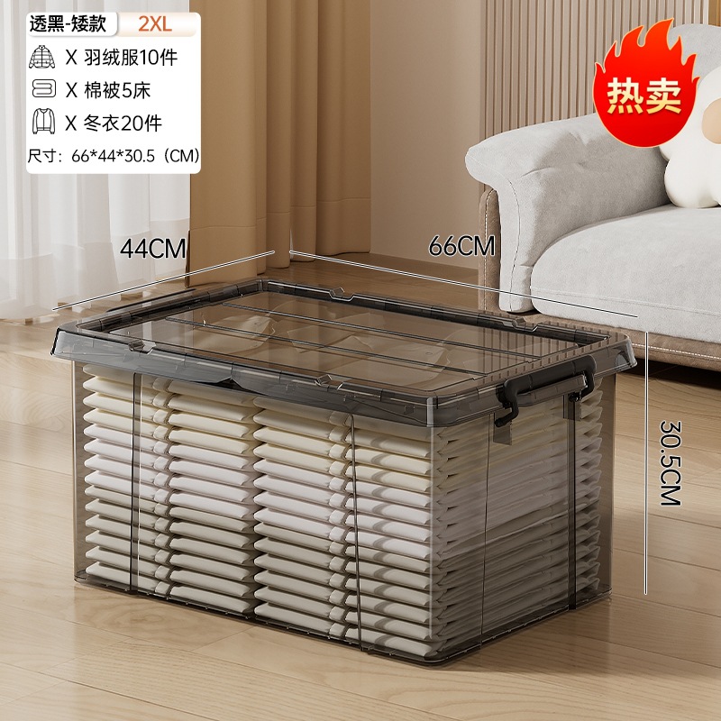 2XL Short - Gray Transparent
