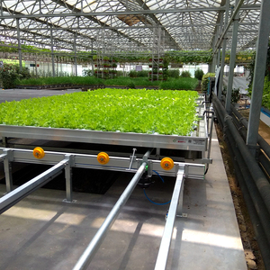 Large ABS Hydroponic Ebb Flow Rolling Benches 3x6 <strong>4x6</strong> 4x8 4x24 <strong>Greenhouse</strong> Grow Table for Nursery Green Plastic <strong>Greenhouse</strong> - Product Image 3