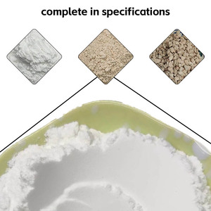 Prix bas Minerai <span class=keywords><strong>de</strong></span> diatomite calciné Kieselguhr pour l'alimentation animale Poudre d'aide au filtrage <span class=keywords><strong>de</strong></span> diatomite <span class=keywords><strong>de</strong></span> <span class=keywords><strong>terre</strong></span> <span class=keywords><strong>de</strong></span> diatomées - Product Image 4