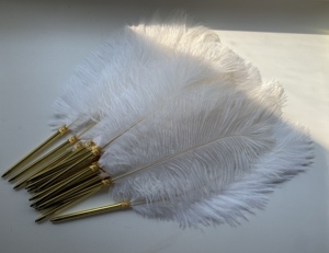 Offre Spéciale rétro <span class=keywords><strong>Vintage</strong></span> sélectionné luxe véritable <span class=keywords><strong>plume</strong></span> d'autruche <span class=keywords><strong>stylo</strong></span> à bille en métal mariage événement signature décoratif <span class=keywords><strong>plume</strong></span> Dip stylos - Product Image 5