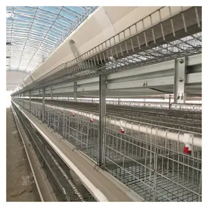 Jaula <span class=keywords><strong>para</strong></span> pollos de 4 niveles con <span class=keywords><strong>bebedero</strong></span> y cinta <span class=keywords><strong>transportadora</strong></span> - Product Image 1