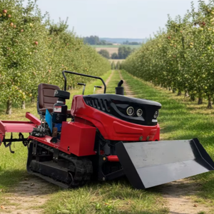 Tractor Agrícola de Buen Precio, 35HP, con Motor de Transmisión Completa, Mini Tractor 2WD con Rotocultivador - Product Image 1