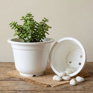 Pot de fleurs en plastique blanc au prix d'usine, fabriqué en PP de haute qualité, avec un design de drainage robuste pour la maison et le jardin A280 - Product Image 1
