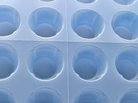 Boîte en plastique jetable à motif de bleuets pour l'utilisation industrielle alimentaire, conteneur d'emballage en plastique