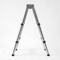 Échelle télescopique en acier inoxydable robuste, pieds en caoutchouc antidérapants, stable pour usage industriel et en entrepôt