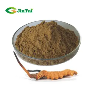 Quality Organic Cordyceps Sinensis Mushroom Extract Powder Cordyceps Militaris Extract 3% Cordycepin Cordyceps Extract