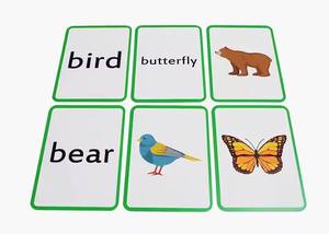 Kartu Flash pendidikan plastik cetak kustom ramah lingkungan - Product Image 3