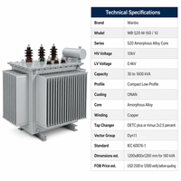 Transformateur à huile en alliage amorphe Wanbo-511 S20, compact, à profil bas, enroulement en cuivre, 10 kV, ONAN Dyn11, kVA personnalisé