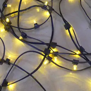 गर्म बेचने ce और rohs एलईडी क्लिप प्रकाश 12v कम वोल्टेज एलईडी क्रिसमस प्रकाश श्रृंखला आउटडोर सजावट माला का नेतृत्व किया