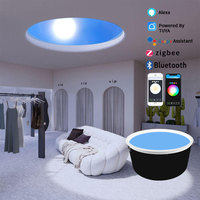 Fenêtre de toit Coelux, puits de lumière, grand dôme rond artificiel, faux plafond, puits de lumière, dôme, ciel bleu, panneau lumineux LED pour plafond
