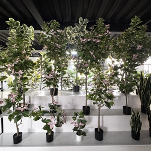 Plante artificielle M733 pour la décoration de la maison, arbre d'<span class=keywords><strong>orchidée</strong></span>, plantes et fleurs artificielles avec pots, magnolia, bonsaï - Product Image 2