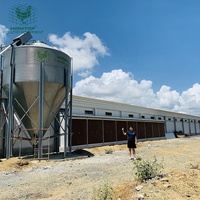 Gallinero de Acero de Tamaño Personalizado con Ventilación por Túnel para Proyectos Comerciales de Gran Escala de Pollos de Engorde