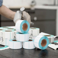 Flexografía de 4x6 pulgadas, rollo de etiquetas de envío directo en blanco, código de barras, impresora A6, papel adhesivo térmico, pegatina de hoja de transporte de 100x150mm