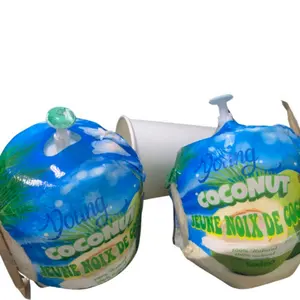 越南国际农业批发优质新鲜绿色椰子价格便宜新鲜水果