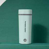 Bouilloire électrique portable 350 ml avec arrêt automatique, chauffe-eau de voyage CE/FDA, pour la maison, l'hôtel, le bureau, chauffe rapide, design anti-fuite