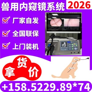 Sistema de Endoscopia Veterinaria para Examen y Tratamiento de Nariz, Oído, Tráquea, Vejiga Urinaria y Riñón, Enchufe Eléctrico, Certificado CE - Product Image 4