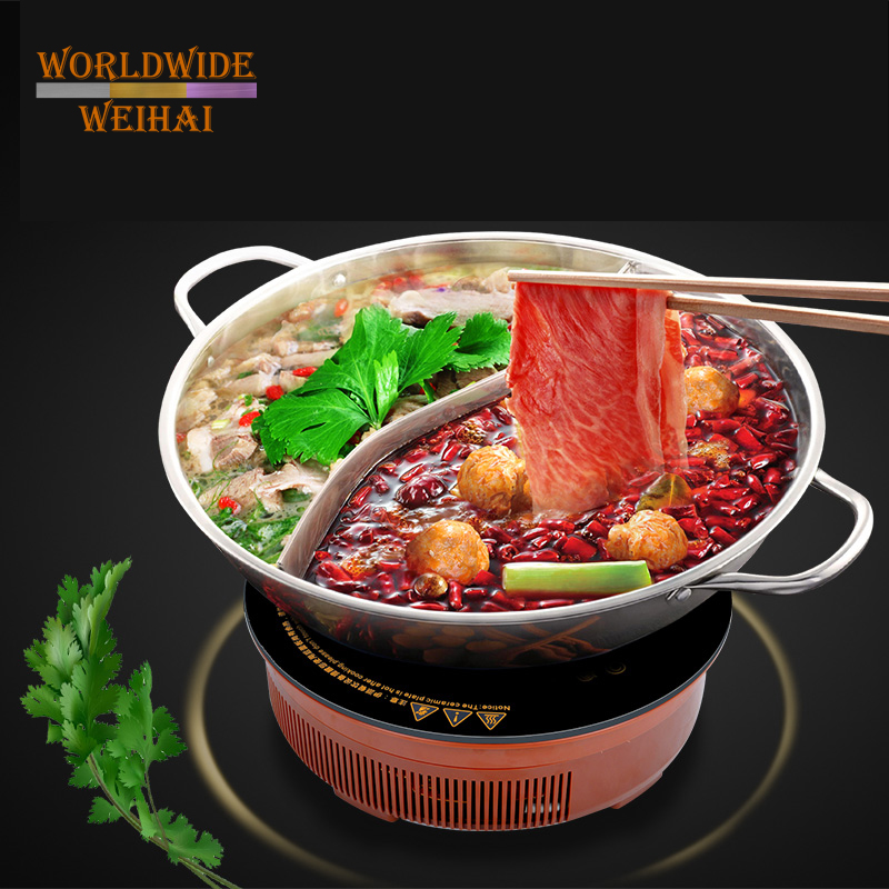 solar induction cooker battery powered