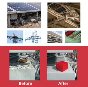 Blocco Repellente per Uccelli Ecologico a Lunga Durata e ad Alte Prestazioni per Edifici con Strutture in Acciaio, Efficace per 12 Mesi - Product Image 2