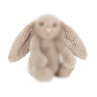 Peluche esthétique Jelly Cats, 500 designs uniques, jouet en peluche animal, lapin Bashful, divers pendentifs, sac bandoulière en peluche