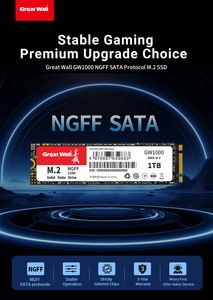 SSD Internal Besar Great Wall GW1000 NVMe M.2 PCIe3.0 3D NAND TLC Kecepatan Tinggi 550MB/s 2TB untuk Laptop Bersertifikasi EMC FCC ROHS - Product Image 5