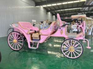 Carruaje de Caballos Victoria para Turismo, de Bajo Precio y Alta Demanda, Color Rosa, para Bodas al Aire Libre y Viajes, Carruaje Eléctrico sin Caballos - Product Image 4