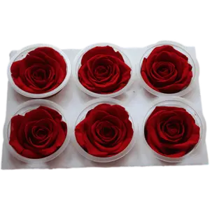 Gerçek çiçekler ebedi güller korunmuş güller yüksek kaliteli 5-6cm bir sınıf butik her bir fincan