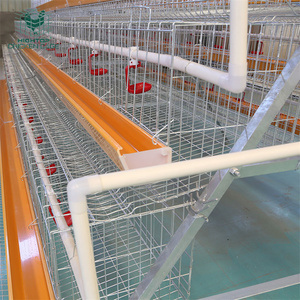 Cage De Poulet Zambia Nuevo equipo de granja avícola Capa de huevo tipo A Jaula de capa de granja de pollo <span class=keywords><strong>para</strong></span> gallinero ponedor de cabeza 10000 - Product Image 1