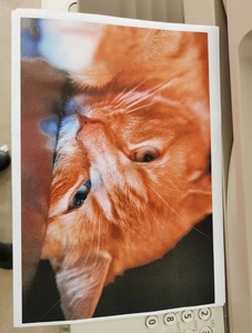 เครื่องถ่ายเอกสารสำหรับ Canon iR-ADV C5250เครื่องพิมพ์เลเซอร์มัลติฟังก์ชั่น <span class=keywords><strong>A3</strong></span> - Product Image 6