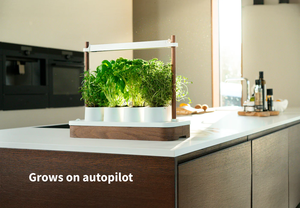 Lampes solaires numériques intelligentes écologiques pour <span class=keywords><strong>jardin</strong></span>, en plastique, pour usage domestique au sol, avec fonctions électroniques, pots et jardinières intelligents - Product Image 4