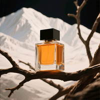 Bouteilles de parfum en verre carrées haut de gamme 30ml 50ml 100ml vente en gros vide Rectangle Parfum parfum pompe pulvérisateur Type d'étanchéité