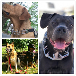 <span class=keywords><strong>Collar</strong></span> de entrenamiento para perros, pinza ajustable con puntas cómodas para perros medianos y grandes, pastor alemán Pitbull - Product Image 4