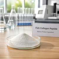 Poudre de collagène marin hydrolysé Elastin Vital Proteins, peptides de poisson, soluble dans l'eau