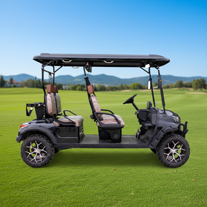 Supply Customized Color Golf Cart with <b>Box</b> for Commercial Use - Product Image 2