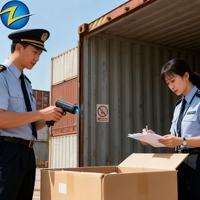 Agent d'expédition maritime et aérienne plus rapide et moins cher, Shenzhen Foshan Zhongshan vers Douala Libreville Luanda Namibe Angola Cameroun DDP FCL LCL
