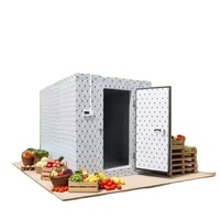 Cámara Frigorífica Pequeña Personalizada con Compresor, Precio Competitivo, Ecológica, Alta Productividad para Vegetales/Frutas/Carne/Pescado