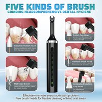 Polisseur de dents électrique et appareil de blanchiment dentaire avec 5 têtes de brosse et lumière LED