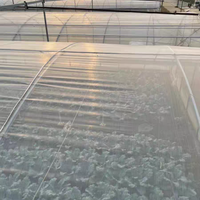 Vente en gros d'usine de filet d'insertion de support de serre pour fraises