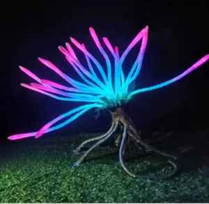 Luces LED de paisaje de fantasía IP65 con poste flexible de PVC para decoración de jardín, parques, festivales y eventos. - Product Image 1