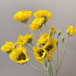 <span class=keywords><strong>Fleurs</strong></span> artificielles de pavot réalistes de haute qualité à 5 têtes avec flocage pour la décoration de mariage, <span class=keywords><strong>fleurs</strong></span> artificielles pour hôtel - Product Image 6