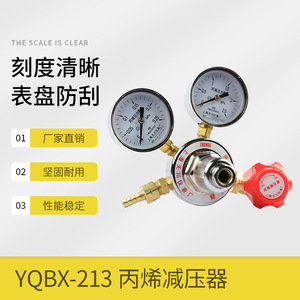 Régulateur de pression de propylène Yqbx 213 0,25 4 en laiton monophasé avec manomètre pour propylène - Product Image 5