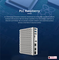 PC Industrial Raspberry CM5 con 2G de RAM y 16G, Componentes Industriales para Control HMI PLC Codesys con Licencia RTE
