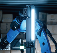Robot de Descarga de Contenedores con IA Incorporada y Pinza de Vacío para Carga y Paletización de Cajas