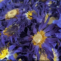 Fleurs de lotus bleues séchées naturelles en gros OEM/ODM, sans additifs, fleurs de nénuphar de haute qualité, matière première pour thé floral