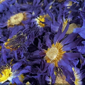 Flores de Loto Azul Secas Naturales al por Mayor OEM/ODM, Sin Aditivos, Flores de Nenúfar de Alta Calidad, Materia Prima para Té Floral - Product Image 3