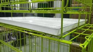 <span class=keywords><strong>Cage</strong></span> à chien moderne simple et solide de bonne qualité, pliable, avec revêtement nano pulvérisé, avec plateau en plastique, à vendre - Product Image 6